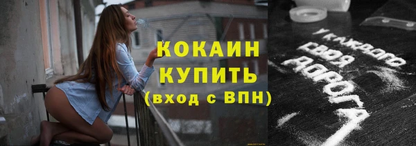 гашик Белокуриха