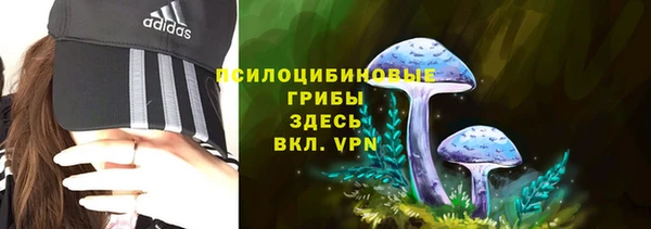 гашик Белокуриха