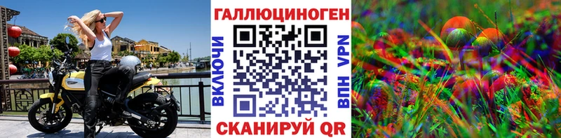дарнет шоп  Петрозаводск  Псилоцибиновые грибы Cubensis 